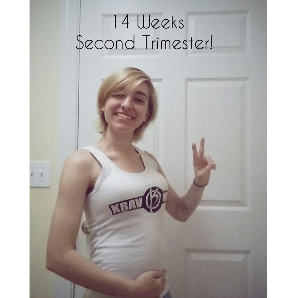  5.11.16 14 weeks / Second trimester 